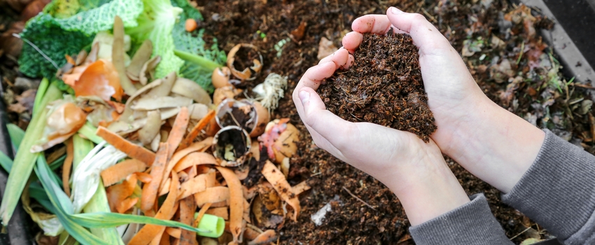 mains, épluchures de légumes, compost