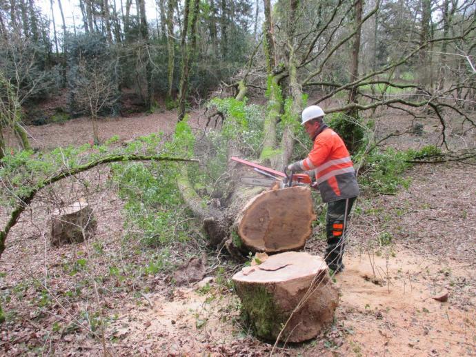 Le chantier Nature et Patrimoine