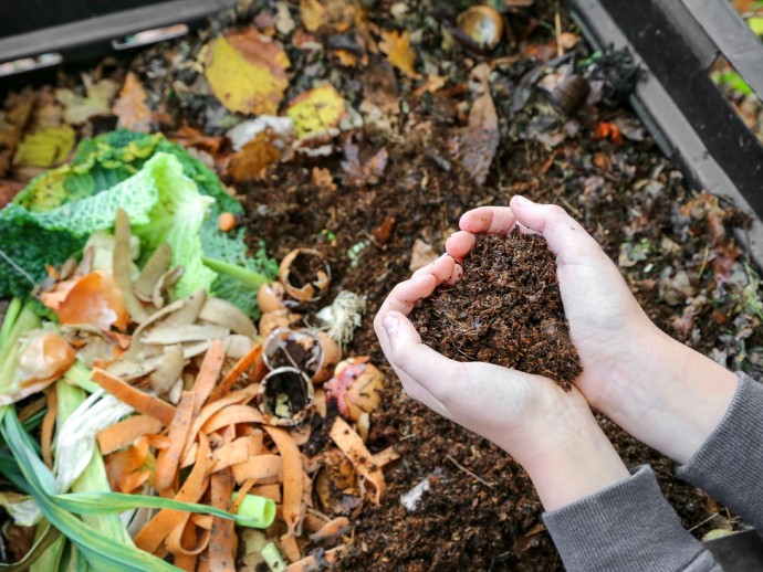 compost