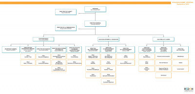 organigramme 2023-09