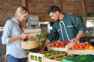Agriculture - Renouvellement des générations, un défi clé