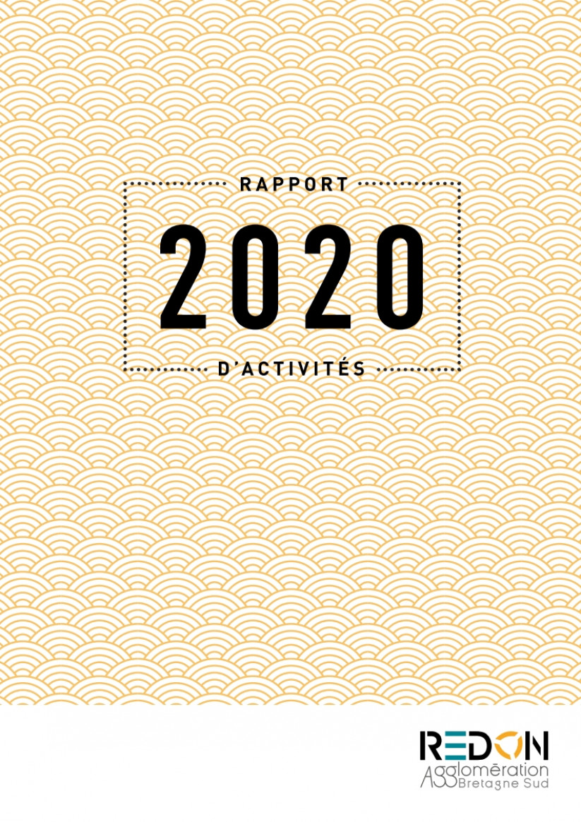 rapport activités 2020