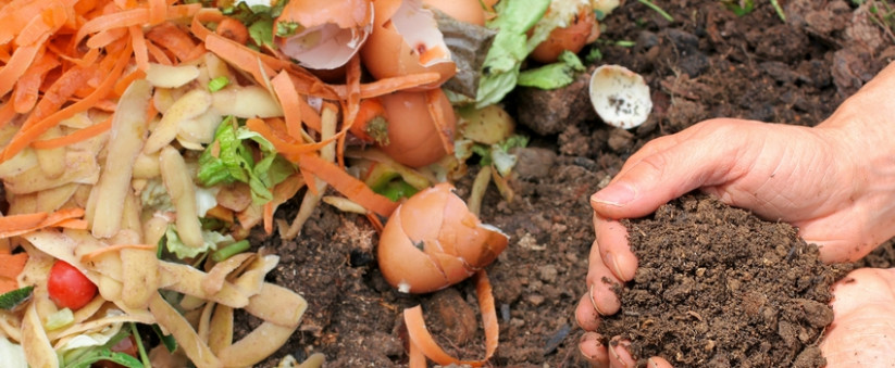 compost, restes de légumes et fruits, terre, mains