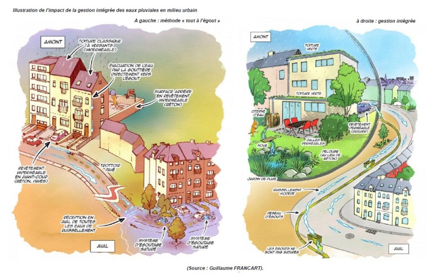 gestion intégrée eaux pluviales