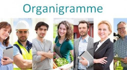 Organigramme