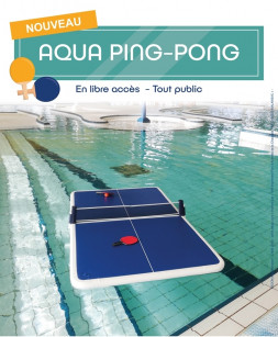 affiche aqua ping pong Guémené
